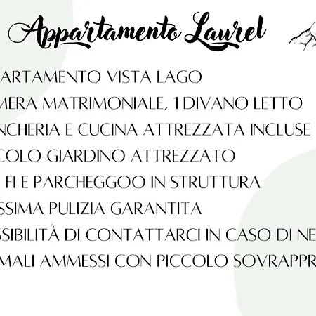 Laurel *